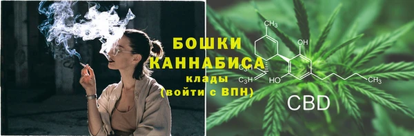 стафф Костерёво