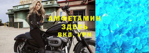 прущие грибы Козловка