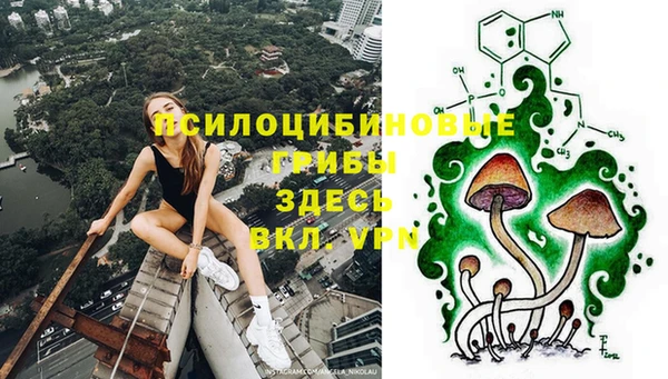 стафф Костерёво