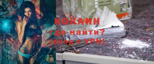 прущие грибы Козловка