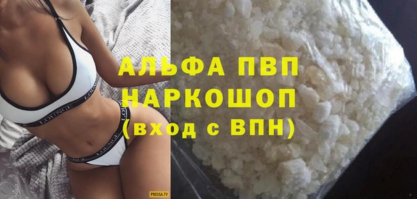 прущие грибы Козловка