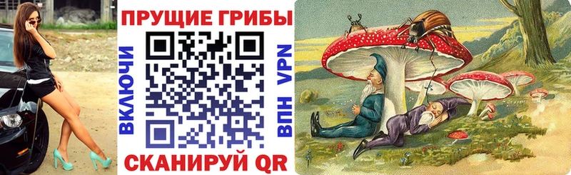 Псилоцибиновые грибы Cubensis  Красновишерск 